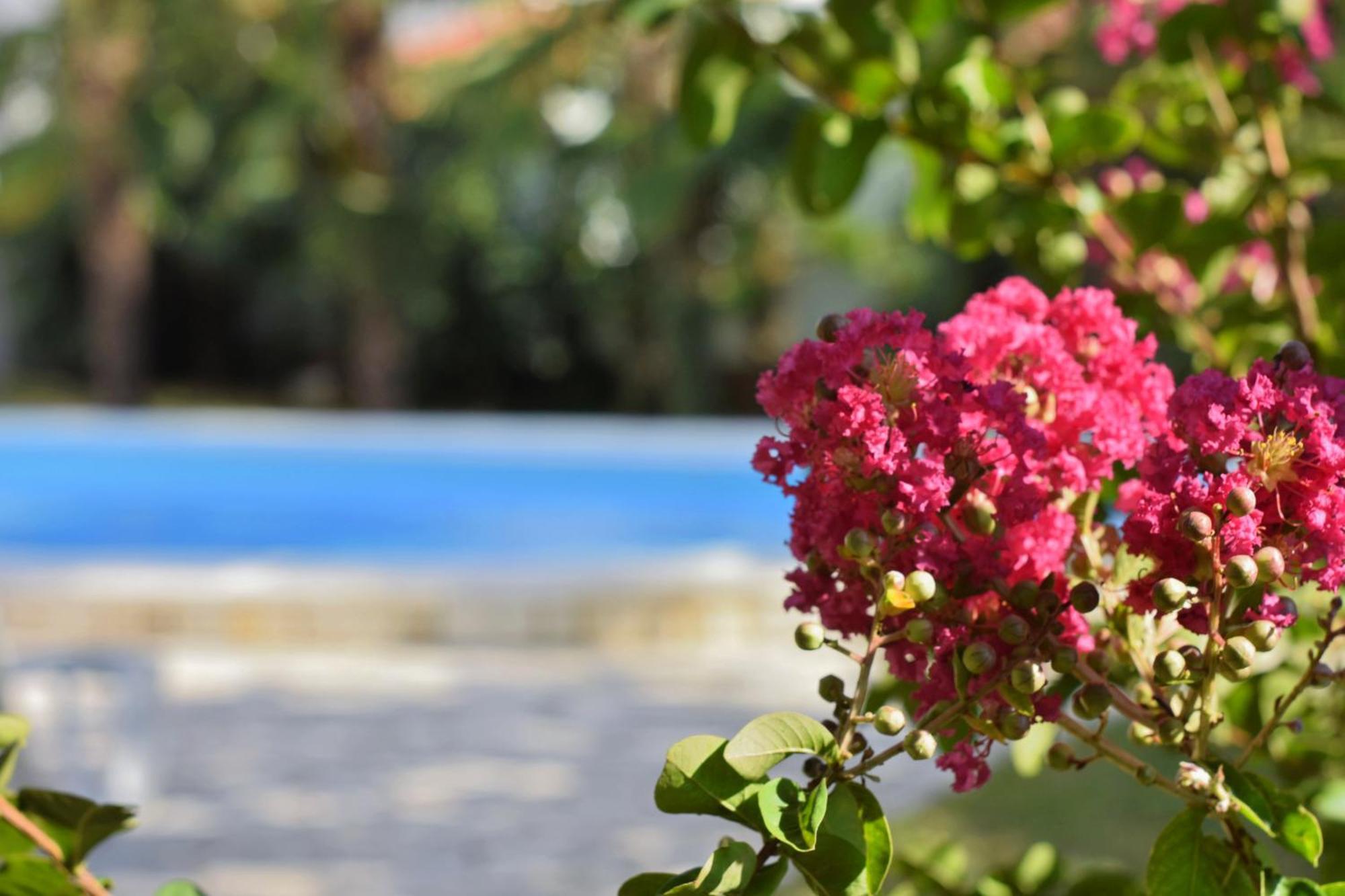 Apartments Vila Marinela Porec Room photo